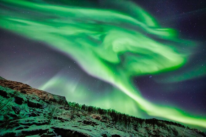 Minivan Northern Lights excursion (8 guests per minivan) - Value for the price: why $204.51 can feel fair (or not)