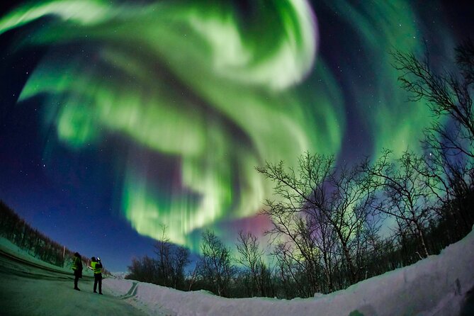 Minivan Northern Lights excursion (8 guests per minivan) - Who should book this Tromsø Northern Lights minivan tour?