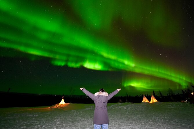 Mountaintop 360° Best Alaskan Cabin with Photography @Aurora Camp - Key things that make Aurora Camp worth your time