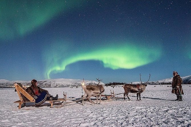 Night Reindeer Sledding with Camp Dinner and Chance of Northern Lights - Key highlights worth your attention