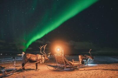 Night Reindeer Sledding with Camp Dinner and Chance of Northern Lights - The 6:00 pm start: what your evening schedule feels like