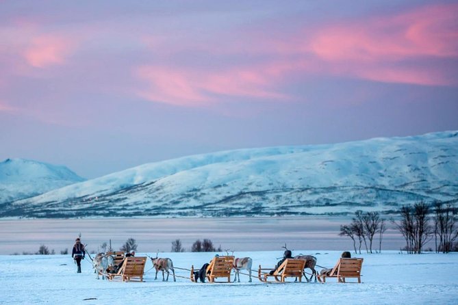Night Reindeer Sledding with Camp Dinner and Chance of Northern Lights - Dinner in a traditional hut: warm food and Sámi stories