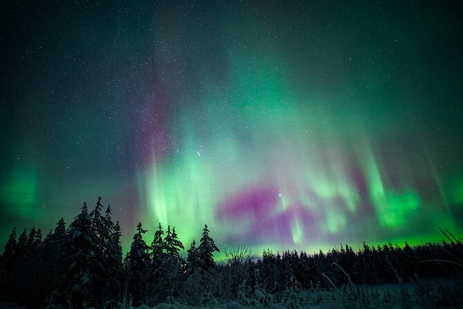 Night Snowshoeing Adventure under the Northern Lights - What 3 hours of night snowshoeing feels like