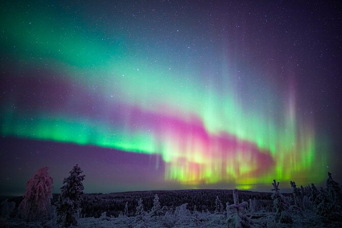 Night Snowshoeing Adventure under the Northern Lights - Gear and cold-weather reality: what’s provided and what you bring