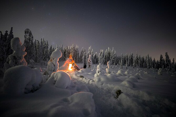 Night Snowshoeing Adventure under the Northern Lights - Aurora reality check: what to expect on your night