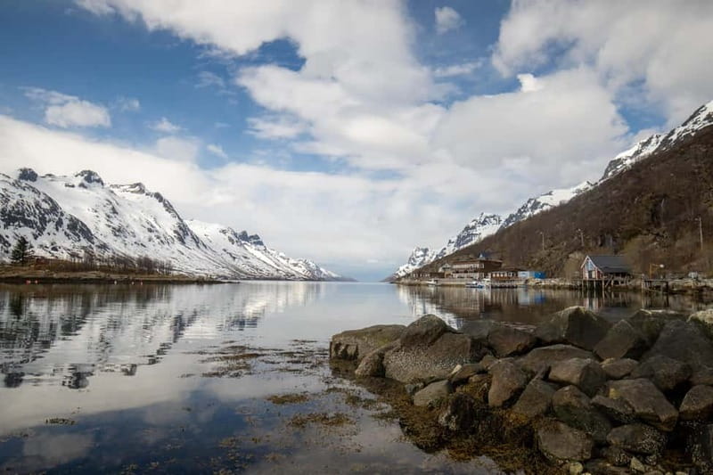 Northern Lights Adventure in Tromsø with Free Photos - Key highlights worth planning around