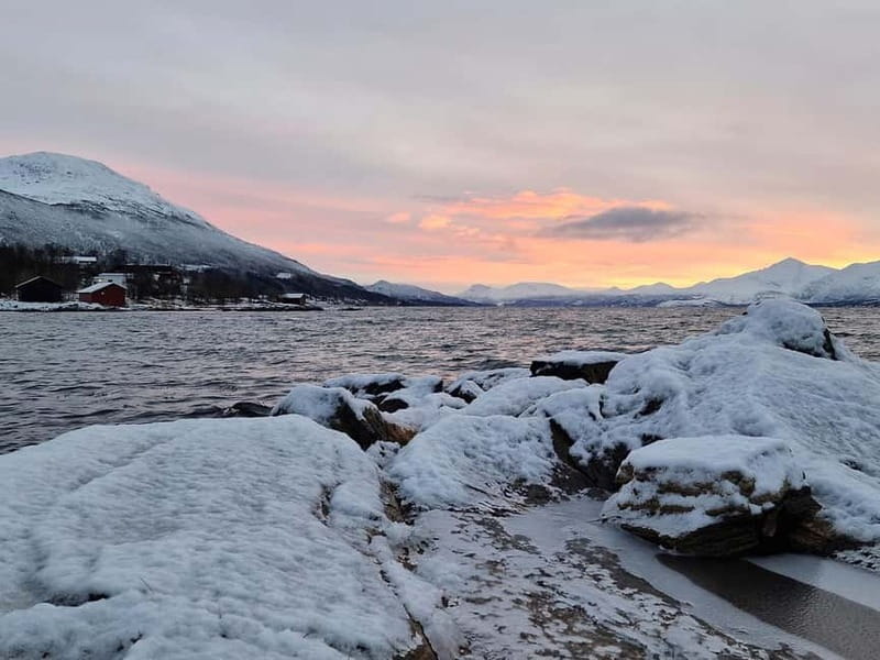 Northern Lights Adventure in Tromsø with Free Photos - Price and value: is $80 fair for a cold-night gamble?