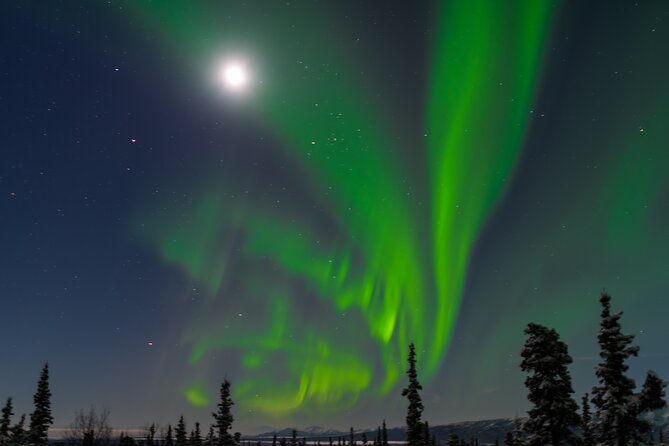 Northern Lights Adventure of a Liftetime from Anchorage - Group size, hotel pickup, and who this tour fits best