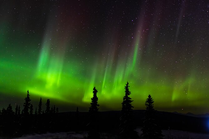 Northern Lights Adventure of a Liftetime from Anchorage - The main trade-offs: what could disappoint you