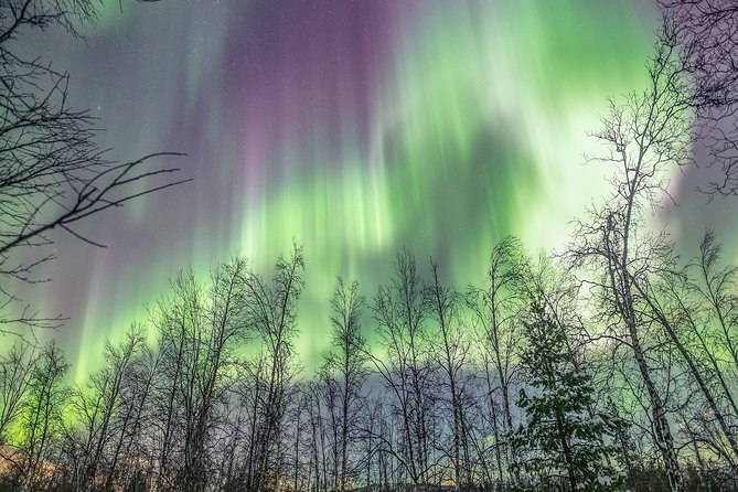 Northern Lights Adventure with Greenlander, 8 people max - Why Tromsø aurora hunting with Greenlander feels more like a guided hunt
