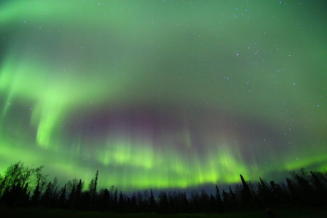 Northern Lights and Arctic Circle Trip from Fairbanks - Stop 3: Yukon River Edge Walk (Quiet, Simple, and Surprisingly Special)