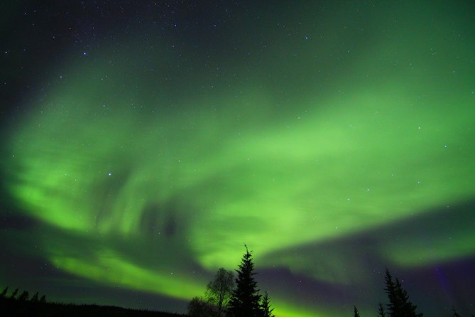 Northern Lights and Arctic Circle Trip from Fairbanks - Northern Lights Chasing: What to Expect After Dark