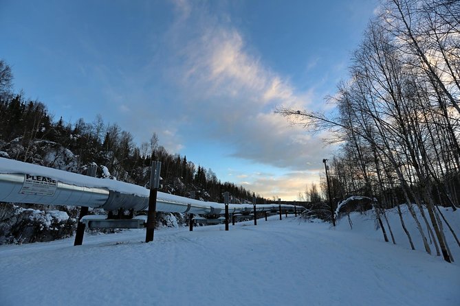 Northern Lights and Arctic Circle Trip from Fairbanks - The Guide Makes or Breaks the Long Drive