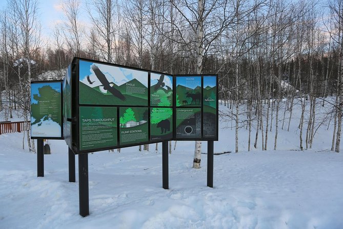 Northern Lights and Arctic Circle Trip from Fairbanks - Food, Hot Drinks, and When You’ll Actually Eat