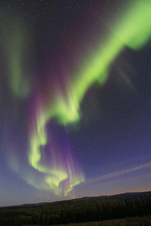 Northern Lights and Chena Hot Springs Night Tour from Fairbanks - Ice museum, dining, and the realism of resort crowds