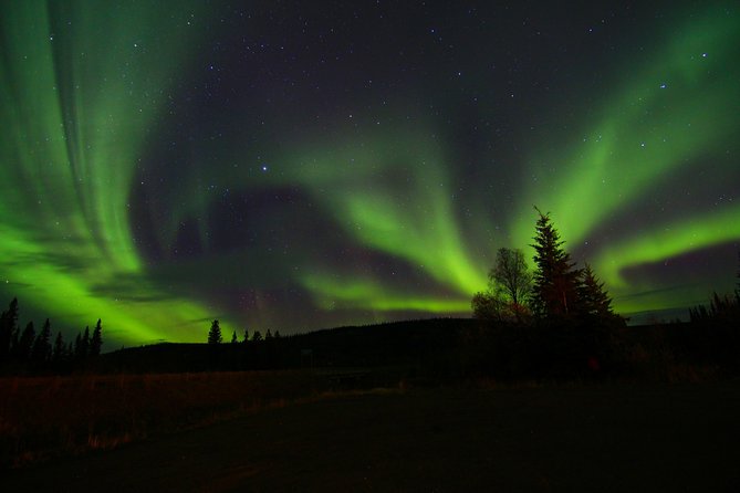 Northern Lights and Chena Hot Springs Night Tour from Fairbanks - Who this tour suits best (and who might skip it)