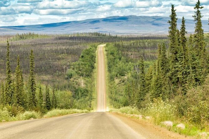 Northern Lights & Arctic Circle Tour - Key points to know before you go