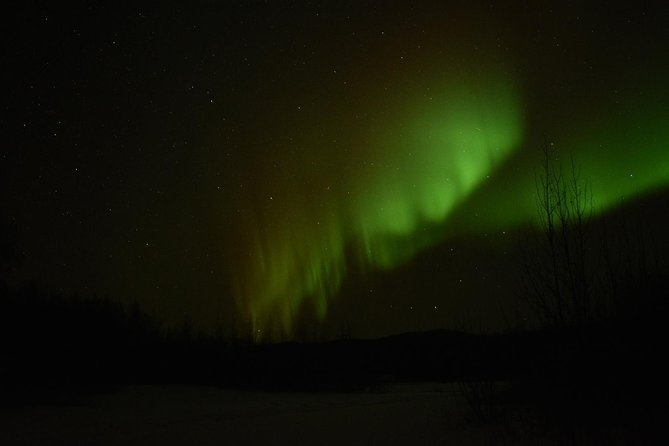 Northern Lights & Arctic Circle Tour - Pipeline views and why the Alyeska stop feels so real