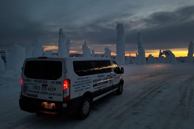 Northern Lights & Arctic Circle Tour - The Yukon River crossing and the wildlife odds you should plan for