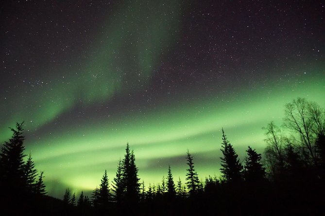 Northern Lights & Arctic Circle Tour - Northern lights chasing: how the tour actually increases your odds