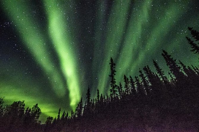 Northern Lights & Arctic Circle Tour - What you eat and drink while you’re freezing on purpose