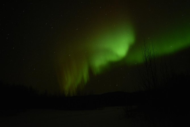 Northern Lights & Arctic Circle Tour - Price and what you’re really paying for on a 12–14 hour day