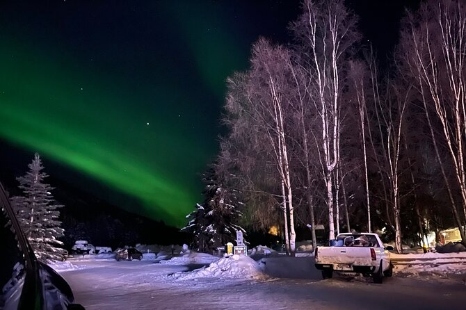 Northern Lights at Chena Hot Springs - The Ice Museum and ice bar: a separate fee if you want it