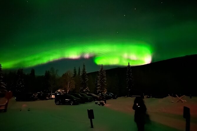 Northern Lights at Chena Hot Springs - Price and value: $200 for pickup plus hot springs access
