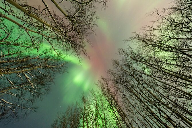 Northern Lights Aurora Chasing Adventure Tour & Free Photography - Guided aurora photography for real results, not just wishful thinking