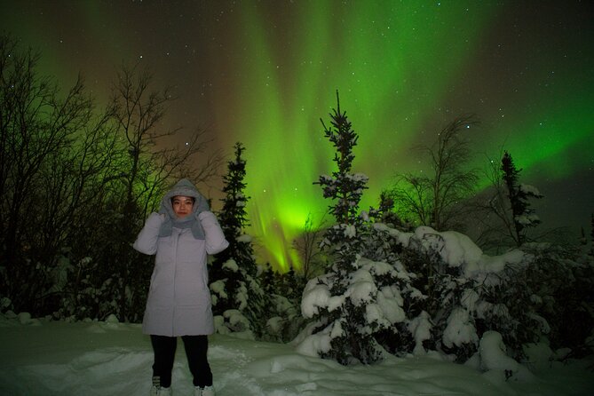Northern Lights Aurora Tour with FREE Photography - Price vs Value: Is $210 Reasonable for an Aurora Night?