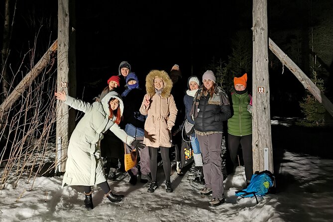 Northern Lights Auroras from Kemi-Tornio with Pickup - Seeing the aurora isn’t guaranteed, but odds get managed