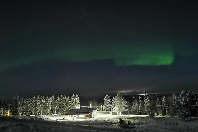 Northern Lights Auroras from Kemi-Tornio with Pickup - When conditions change, the plan changes too