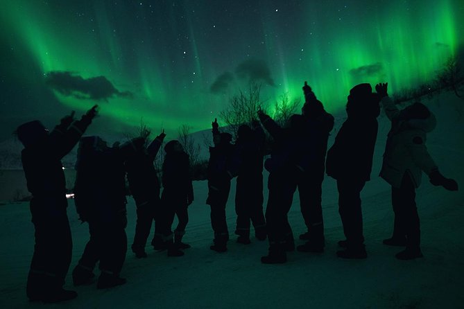 Northern Lights Big Bus Chase with Chasing Lights - Why this Tromsø Northern Lights Chase beats a fixed viewpoint