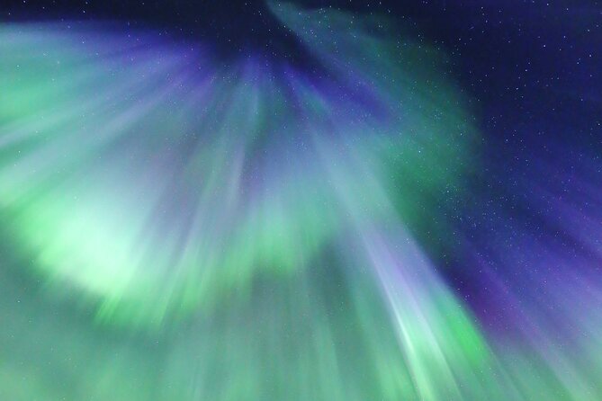 Northern Lights Big Bus Chase with Free Photos - Price and value: why $118.77 can make sense