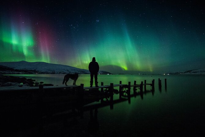 Northern Lights Big Bus Chase with Free Photos - Things to consider before you book