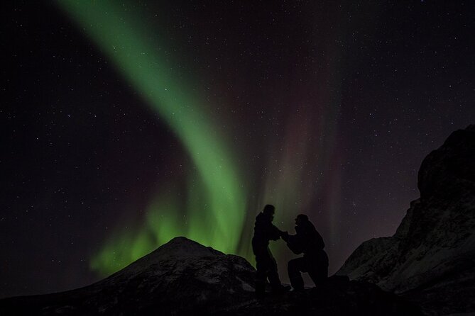 Northern Lights Big Bus Chase with Free Photos - Should I book this Northern Lights bus chase from Tromsø?