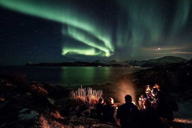 Northern Lights Big Bus Chase with Free Photos - The 7 to 9 hour rhythm: what your night looks like