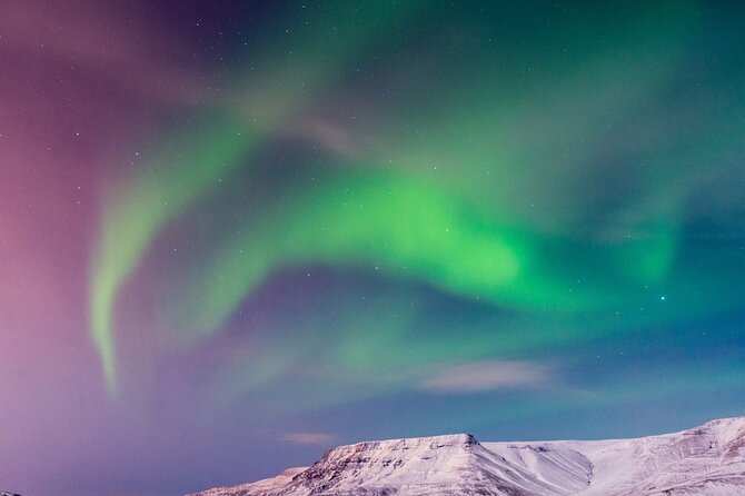 Northern Lights Boat Cruise from Reykjavik - Reykjavík After Dark from the Water