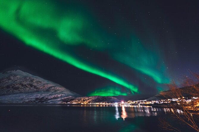 Northern Lights Boat Cruise from Reykjavik - Price and Value: Is $78 Worth It?
