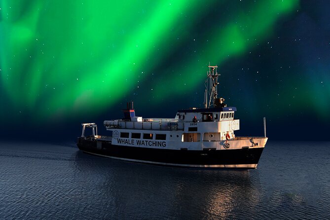 Northern Lights Boat Cruise from Reykjavik - Faxaflói Bay Views That Help You Read the Night Sky