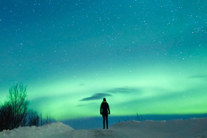 Northern Lights Bus Tour from Reykjavik with Hot Chocolate - Group Size and the Bus Vibe: What to Expect With Up to 65 People