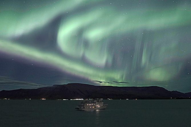 Northern Lights by Boat with a Backup Plan from Reykjavik - When the Lights Don’t Cooperate: The Whales of Iceland Backup Plan