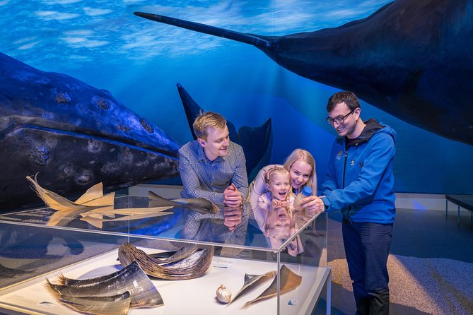 Northern Lights by Boat with a Backup Plan from Reykjavik - The Staff Energy: What Guide Names Tell You