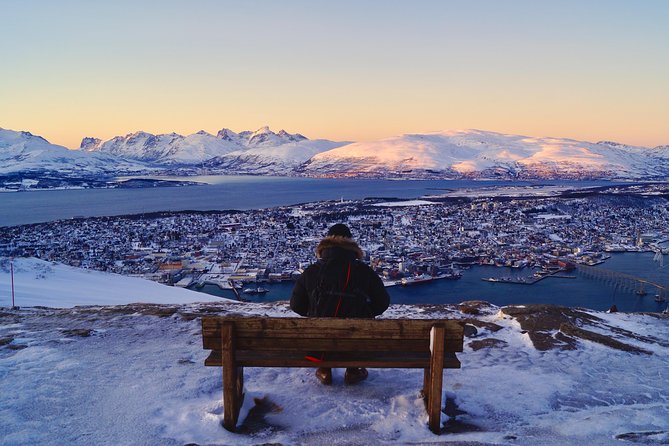 Northern lights cable car excursion - Price and value: does $191.57 for 3 hours make sense?