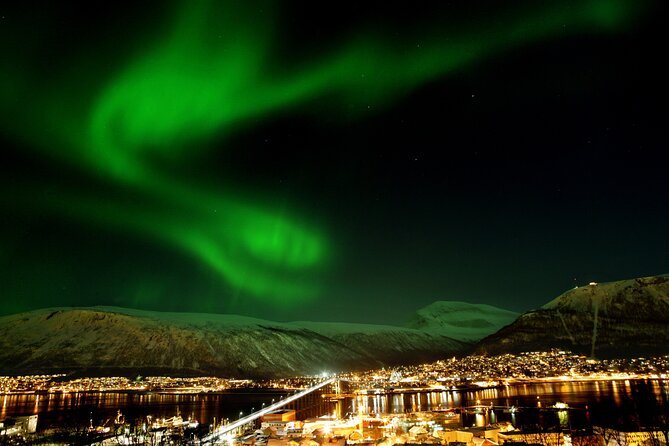 Northern Lights Chase by Bus in Tromso - Key things to know before you go