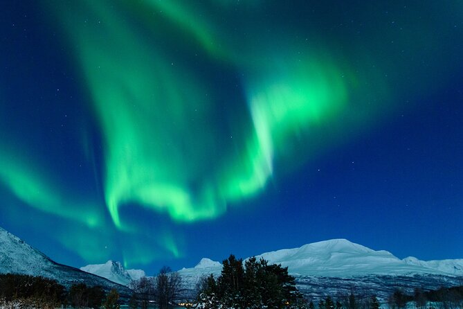 Northern Lights Chase by Bus in Tromso - Meeting in Tromsø: getting on the bus without drama