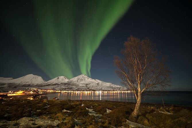 Northern Lights Chase by Bus in Tromso - Price and value: what $128.88 buys you