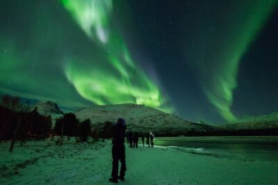 Northern Lights Chase by Bus in Tromso - How the guide actually chases the aurora