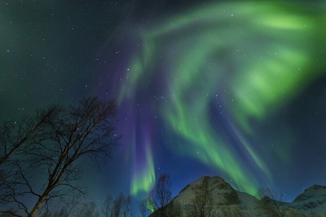 Northern Lights Chase by Bus in Tromso - Should you book this Northern Lights bus chase?