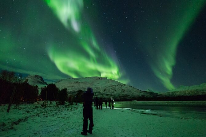 Northern Lights Chase by Bus in Tromso - How the guide actually chases the aurora